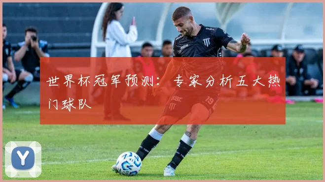 世界杯冠军预测：专家分析五大热门球队