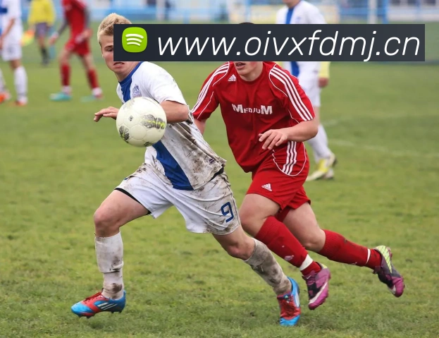 九游网页版登录界面APP 封面图